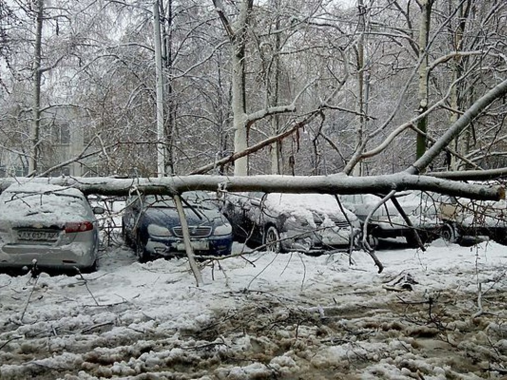 Непогода в Украине: обесточено 537 населенных пунктов