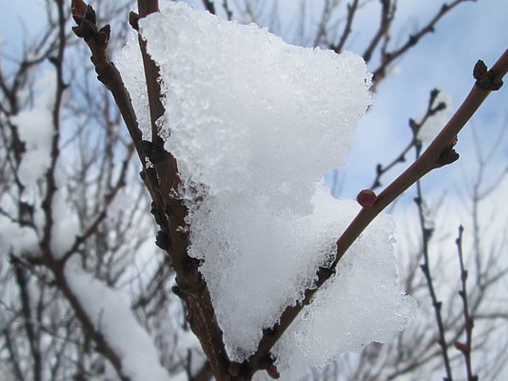 Синоптик:  На выходных в Украине ожидаются осадки в виде мокрого снега с дождем и штормовой ветер  (КАРТА)