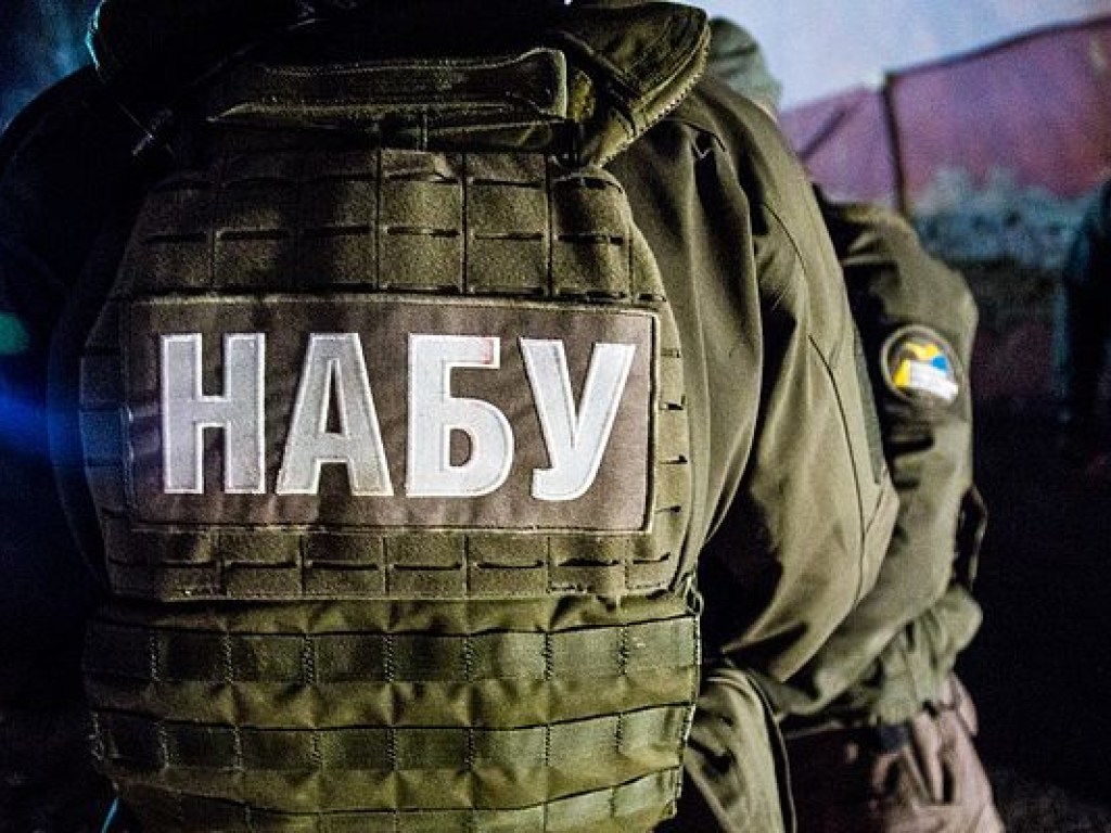 Законопроект о госконтроле над НАБУ скрывает истинные цели украинских властей &#8212; политолог