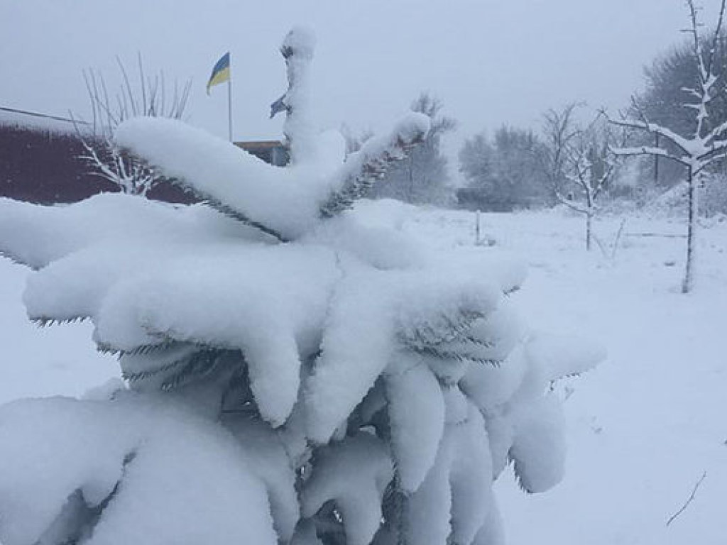 Север Одесской области оказался под снежными завалами (ФОТО)