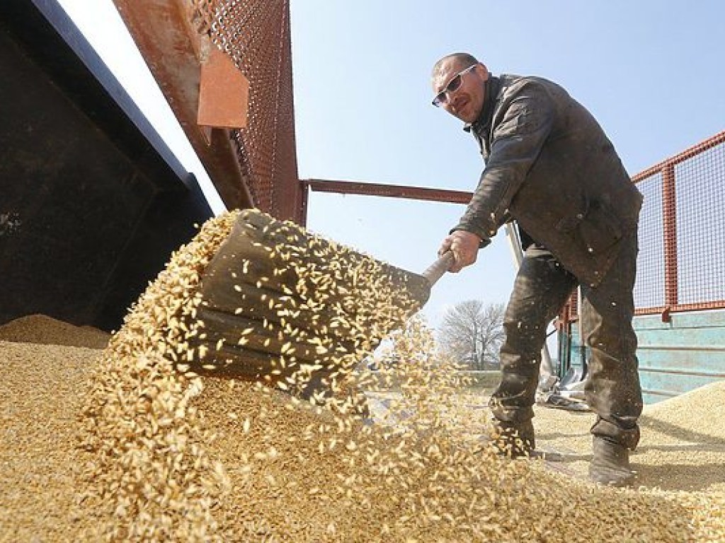 Сегодня в Киеве состоится аграрное вече