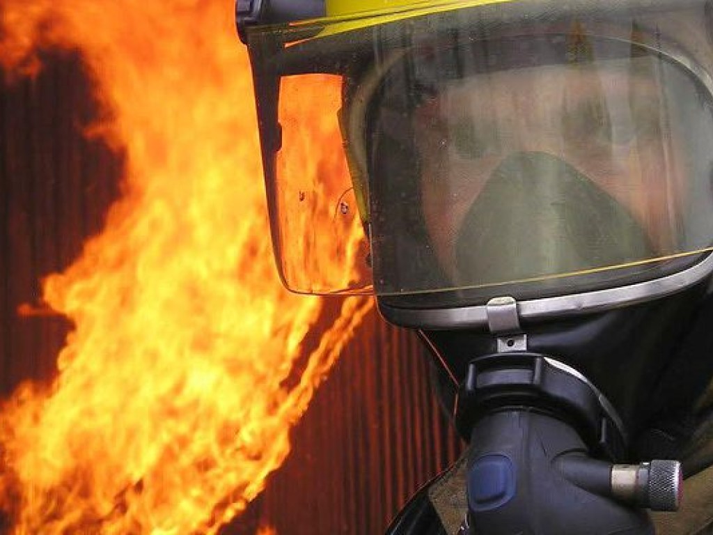 Пожар под Киевом: в ГСЧС сообщили подробности
