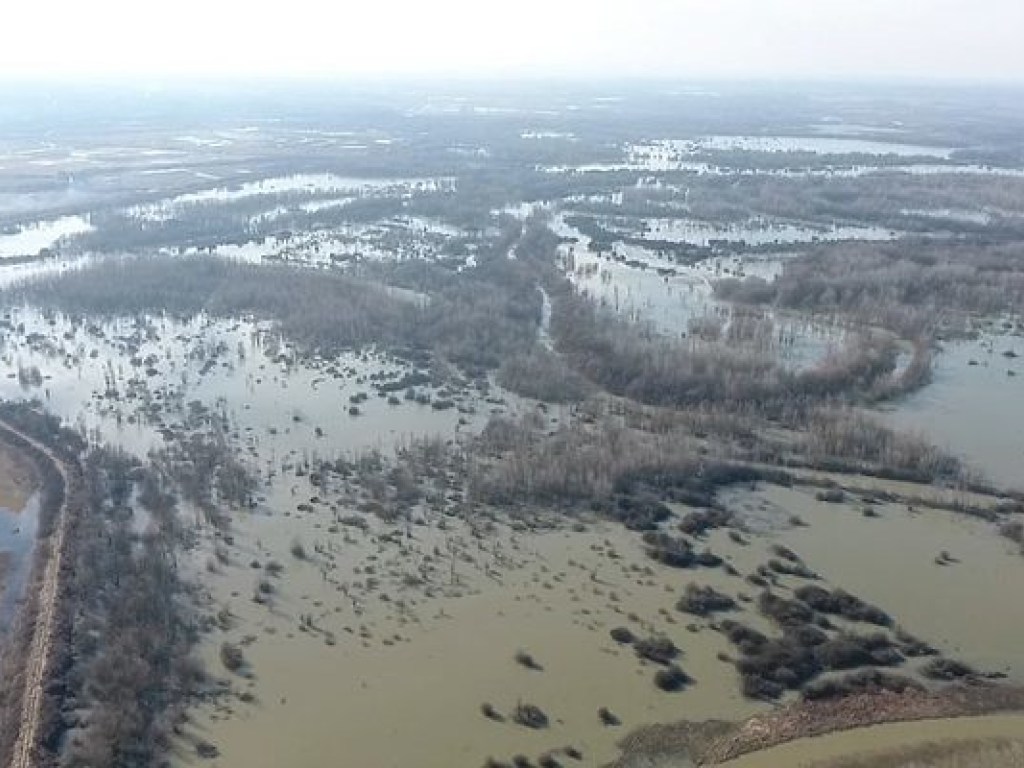 Паводковая волна на приграничной территории Закарпатья продолжает расти