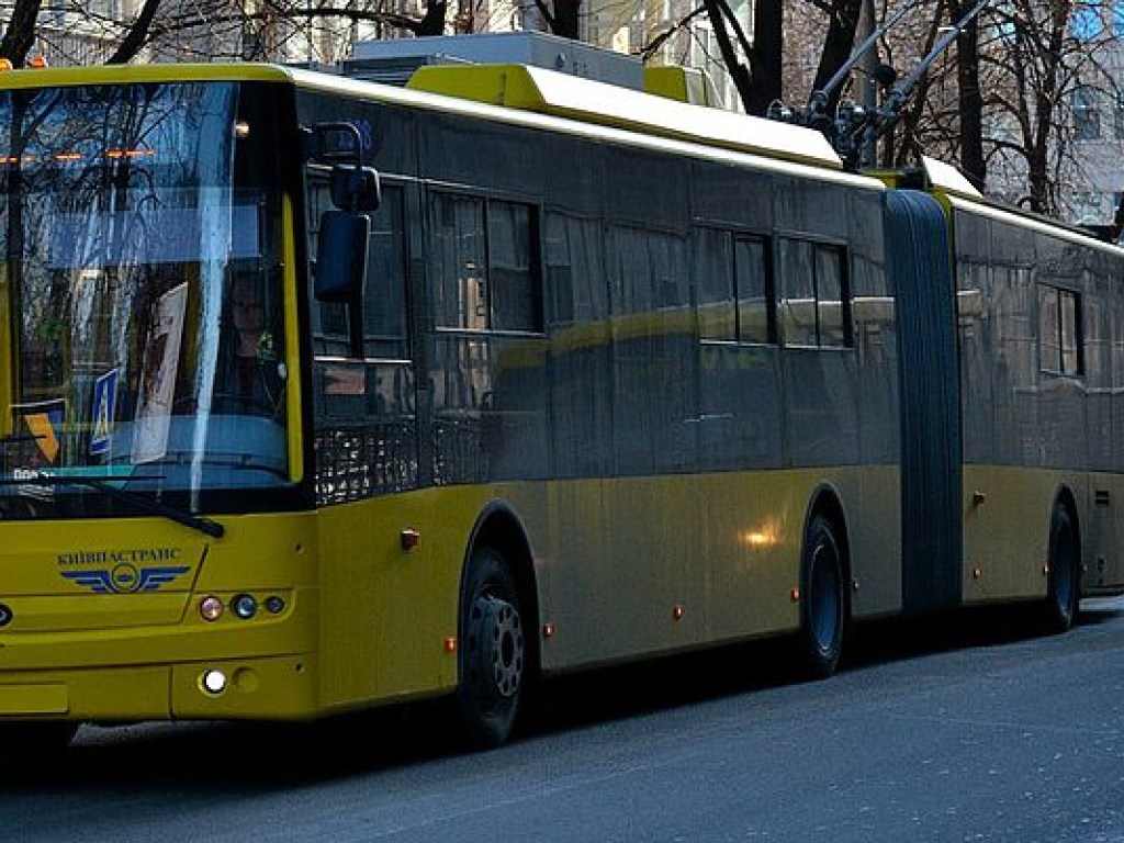 На правом берегу Киева пассажиры под руководством кондуктора толкали троллейбус (ФОТО, ВИДЕО)