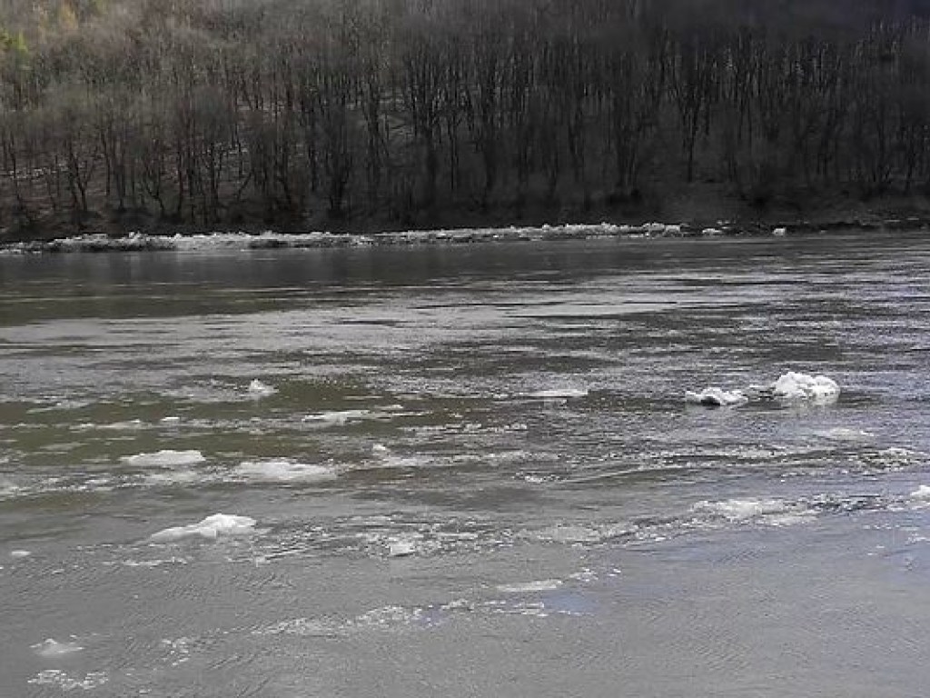 На Припяти, Днестре, Сяне и Западном Буге ожидается подъем уровня воды: возможен выход воды на заводь &#8212; ГСЧС