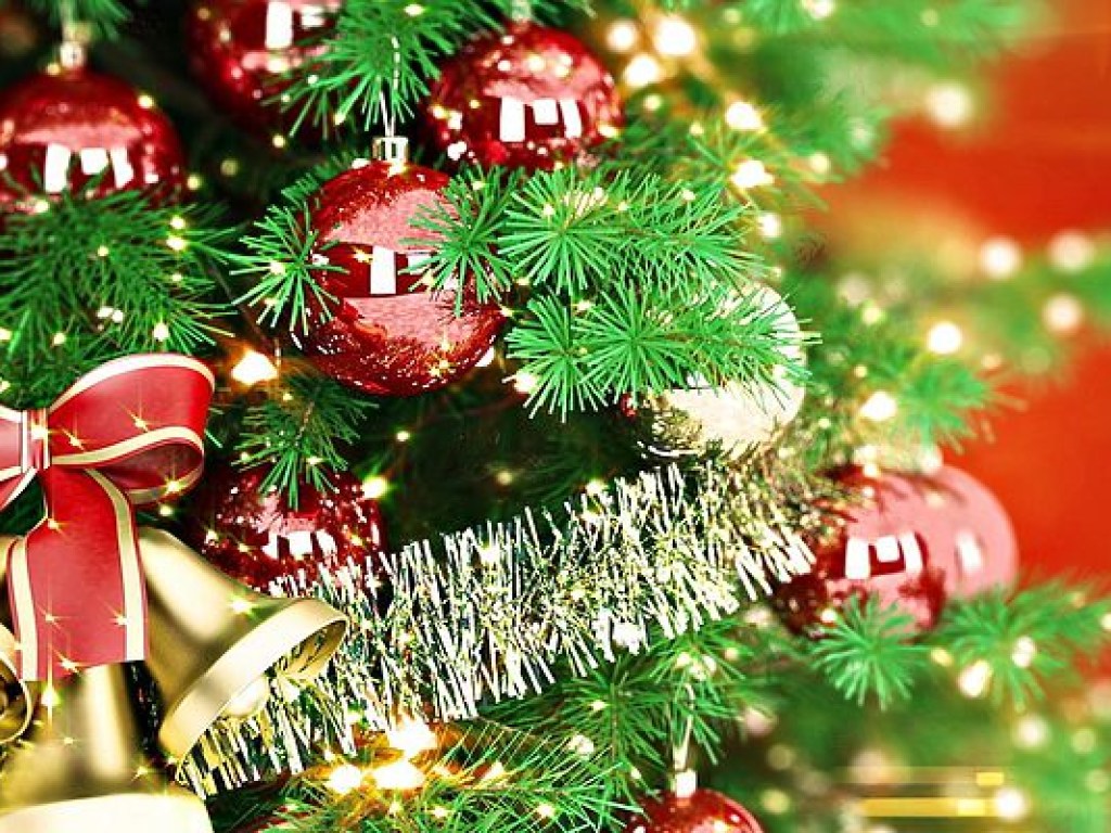 Ликбез: Как выбрать идеальную новогоднюю елку