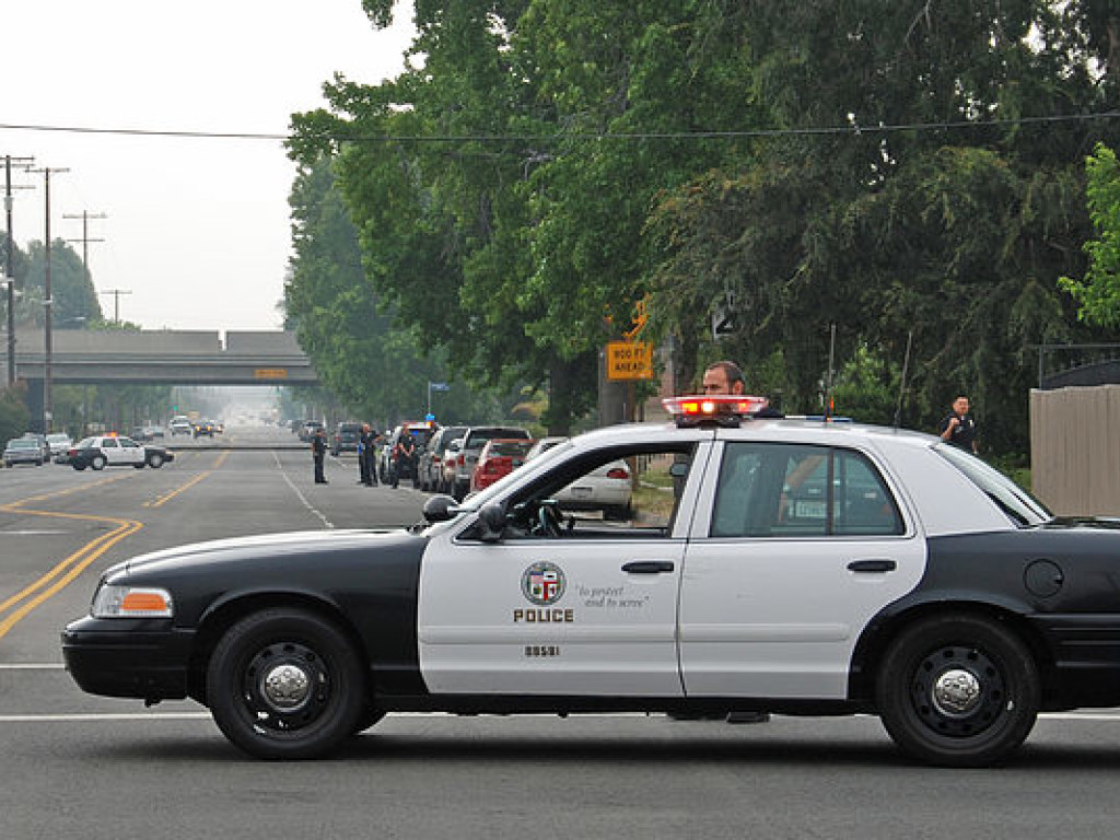 8 жителей Лос-Анджелеса пострадали вследствие атаки мужчины с мачете (ФОТО)
