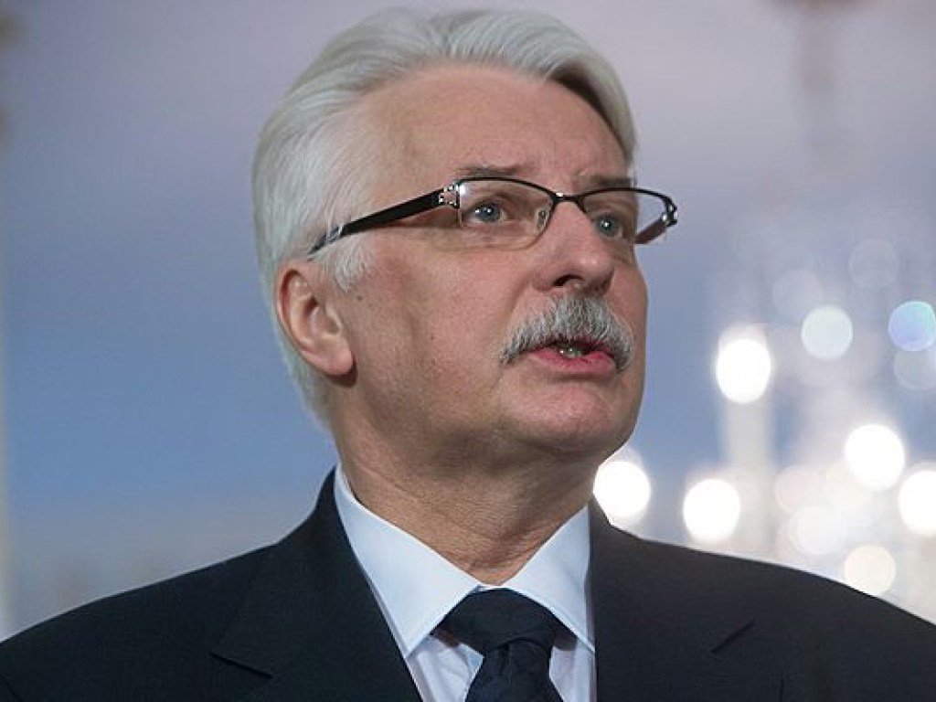Польша готовит «дипломатическое наступление», чтобы отговорить страны ЕС от санкций &#8212; Ващиковский