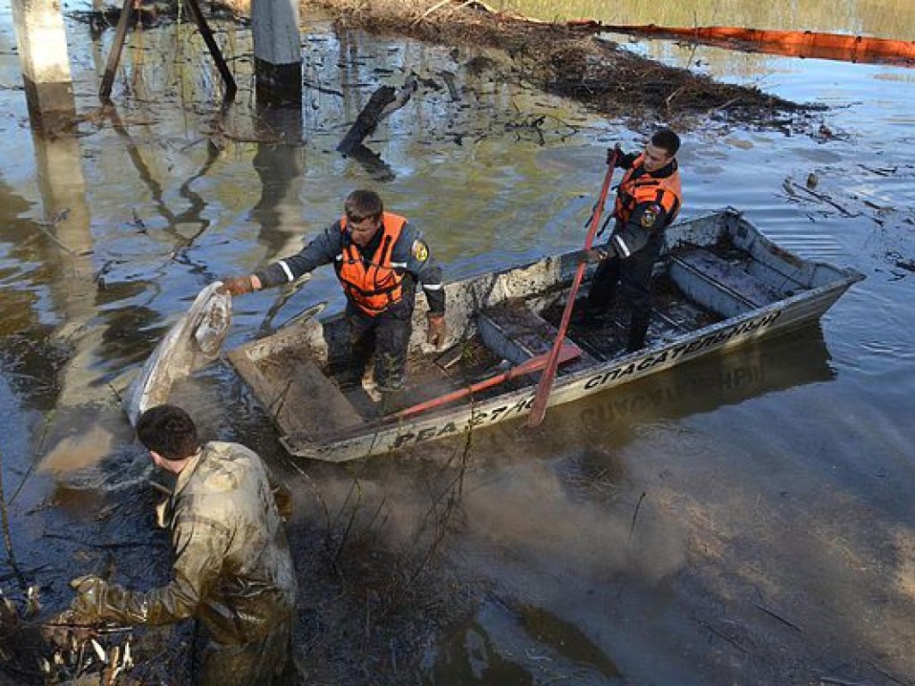 Во Львовской области произошла утечка нефти в реку