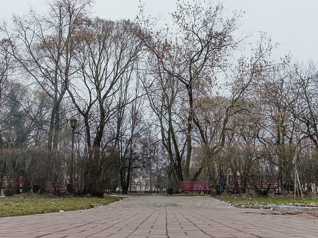 Погода на 10 января: в Украине осадков не будет, ночью температура снизится до -3 градусов