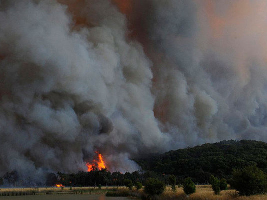Южные штаты Австралии охватили пожары
