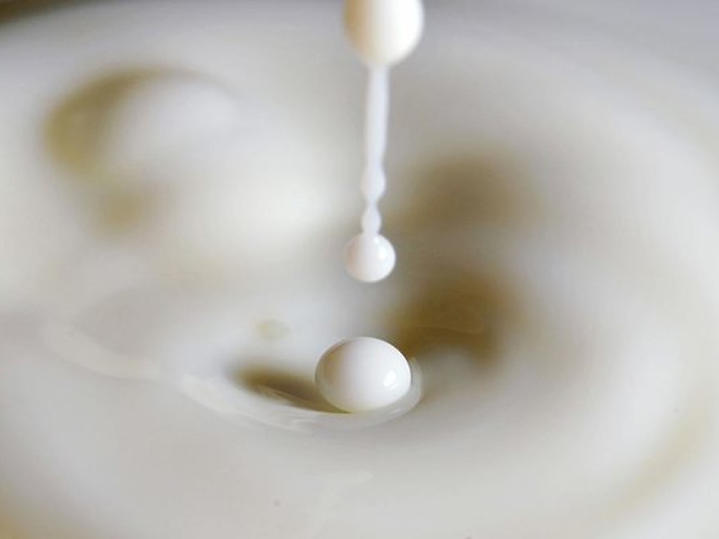 Минагрополитики хочет отсрочить запрет на закупку молока у населения