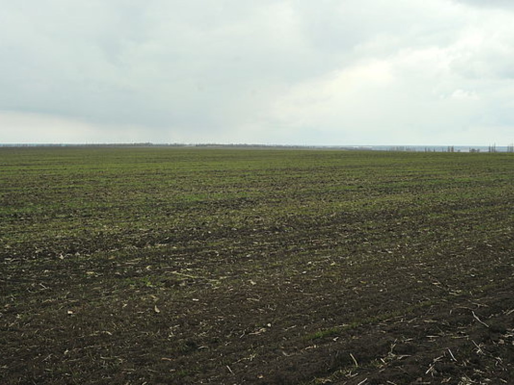 За год количество рейдерских захватов украинских полей увеличилось в 2,5 раза