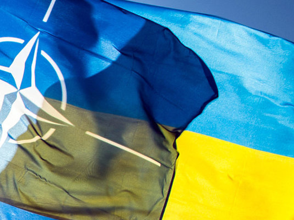 В Украине в 2018 году пройдут 6 учений с участием военных из НАТО