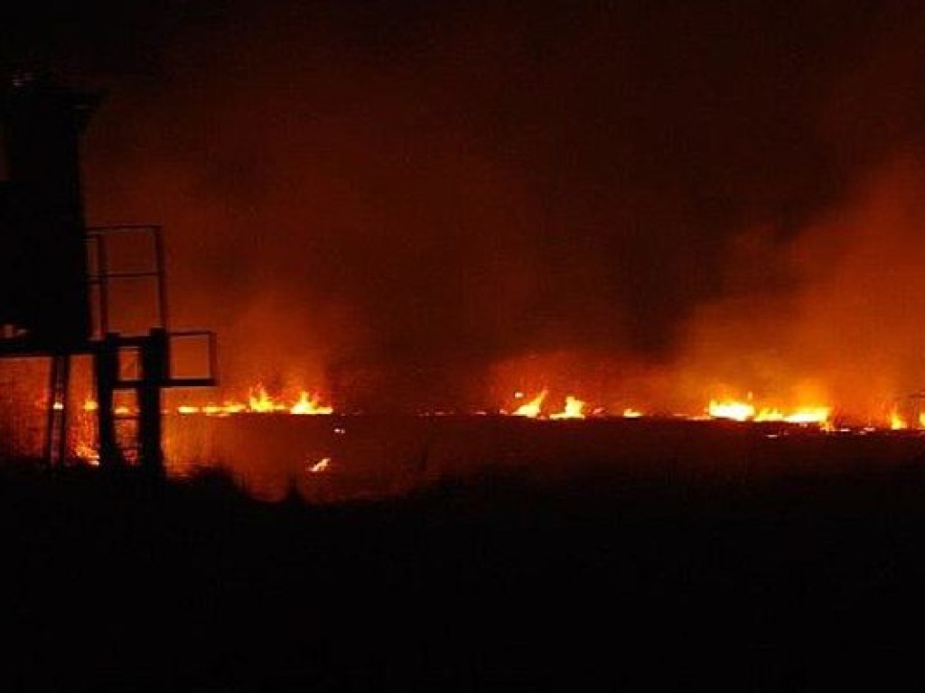 Под Бердянском произошел мощный пожар в заповеднике: вспыхнул камыш (ФОТО)