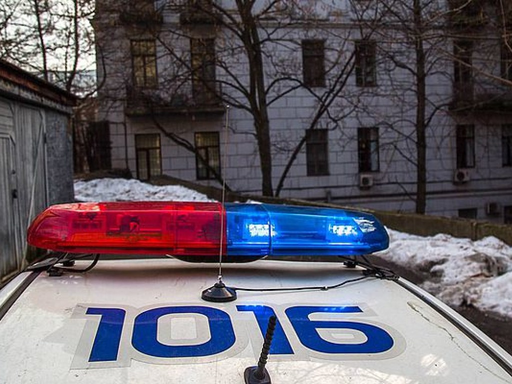 В России полицейские пытались задержать угонщика снежками (ВИДЕО)