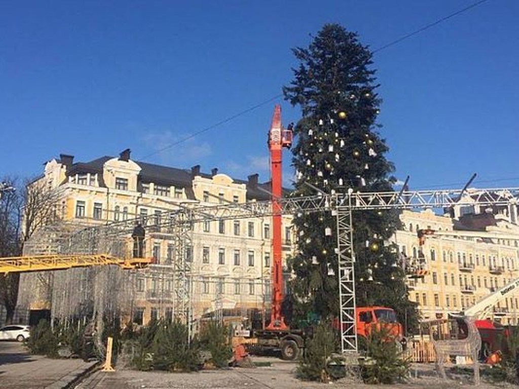 «Киевзеленстрой»: главную елку страны порежут на опилки (ФОТО)