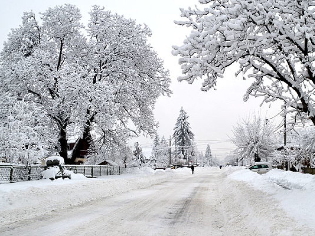 В Румынии сильные снегопады блокируют дороги и порты (ФОТО)