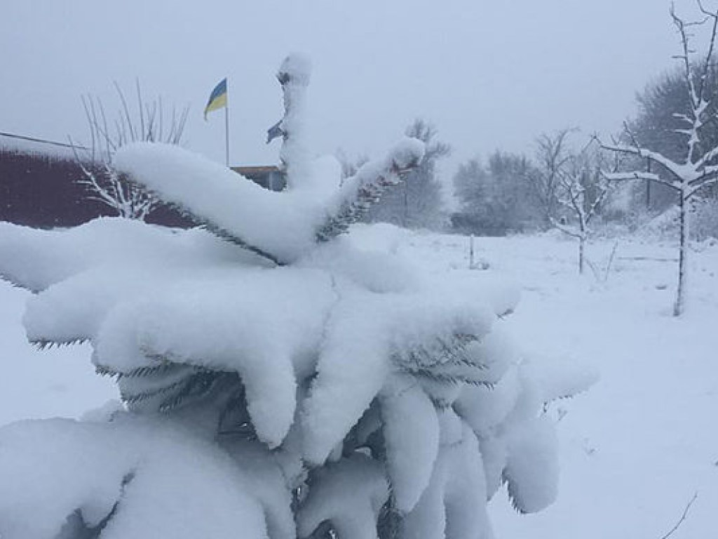 Одесская область в «белой блокаде»: Жители Измаила сидят света, воды и тепла