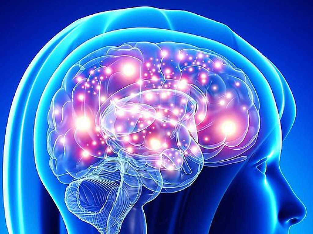 Ученые показали, как работает мозг человека (ВИДЕО)