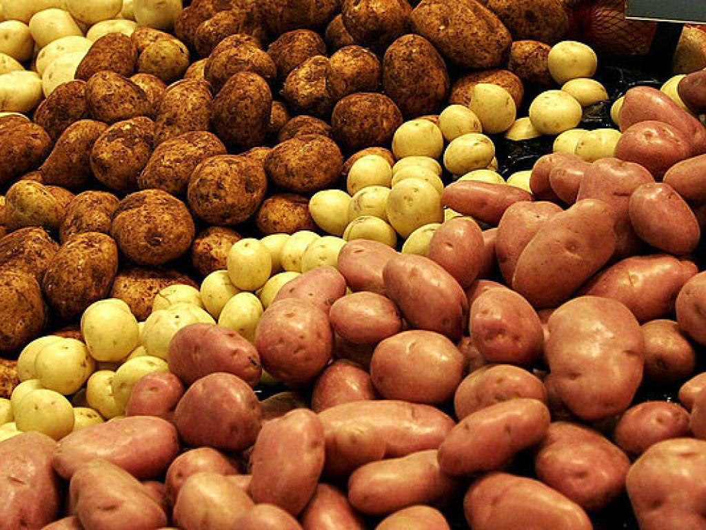 Черновицкой области введен карантин из-за рака картофеля