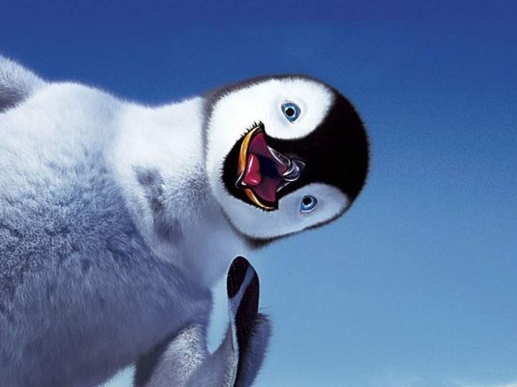 Пингвин запрыгнул в лодку к ученым «для инспекции» (ВИДЕО)