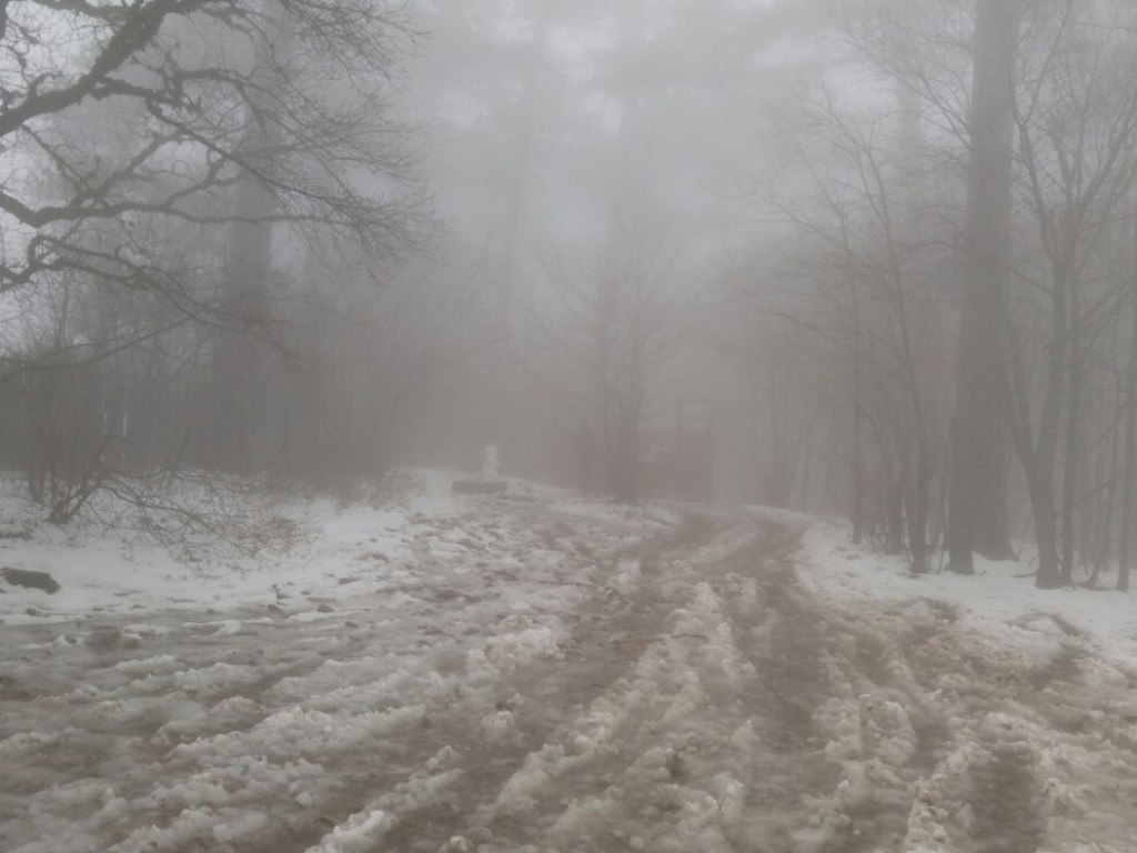 Погода на 27 января: В Украине потеплеет и появится туман, на дорогах &#8212; гололед