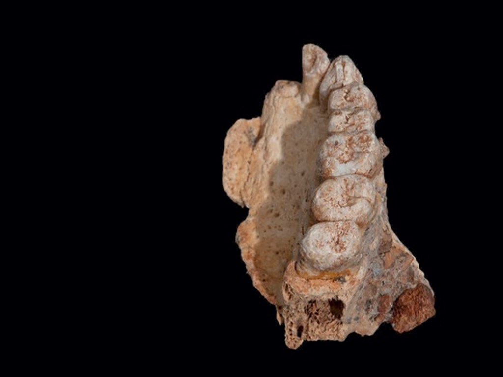 Израильские археологи обнаружили древнейшие останки человека, умершего 200 тысяч лет назад (ФОТО)