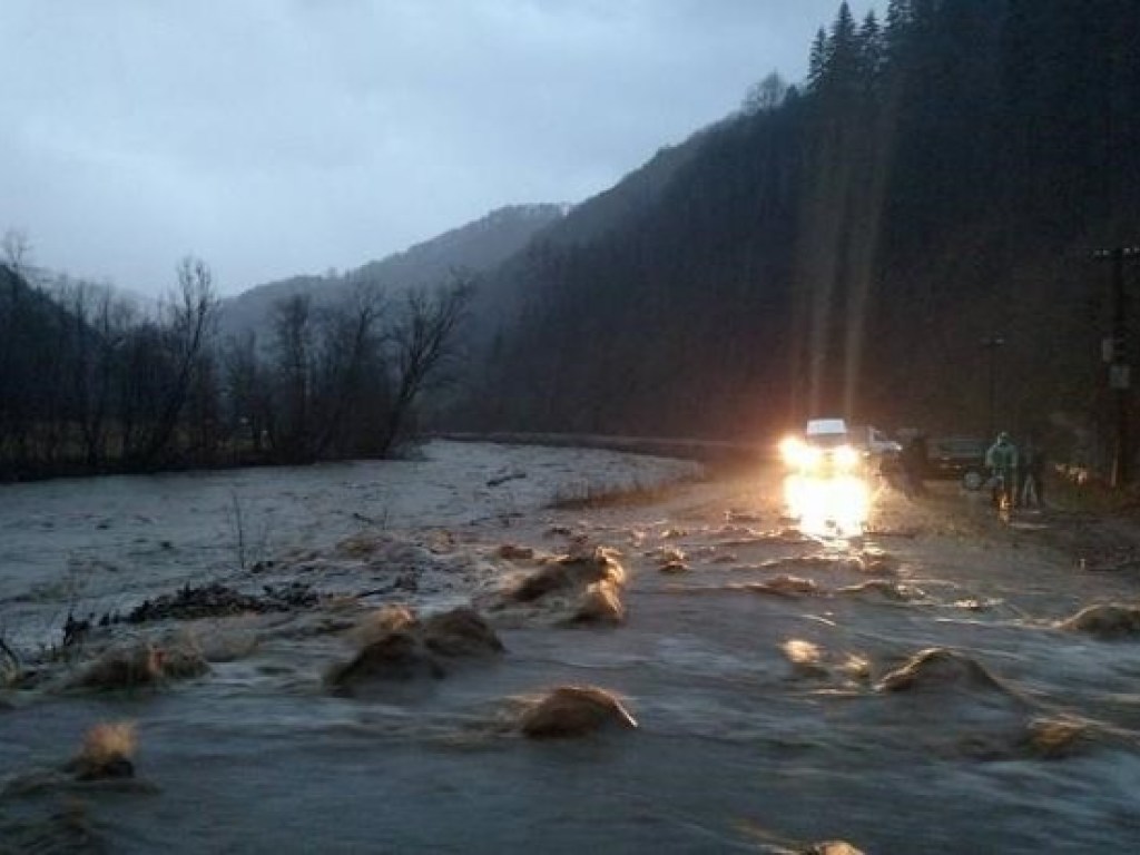 На Закарпатье автомобиль упал в реку, водитель утонул (ФОТО)