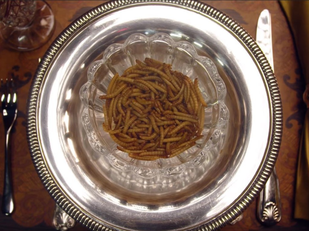Николь Кидман съела тарелку живых червей (ФОТО, ВИДЕО)