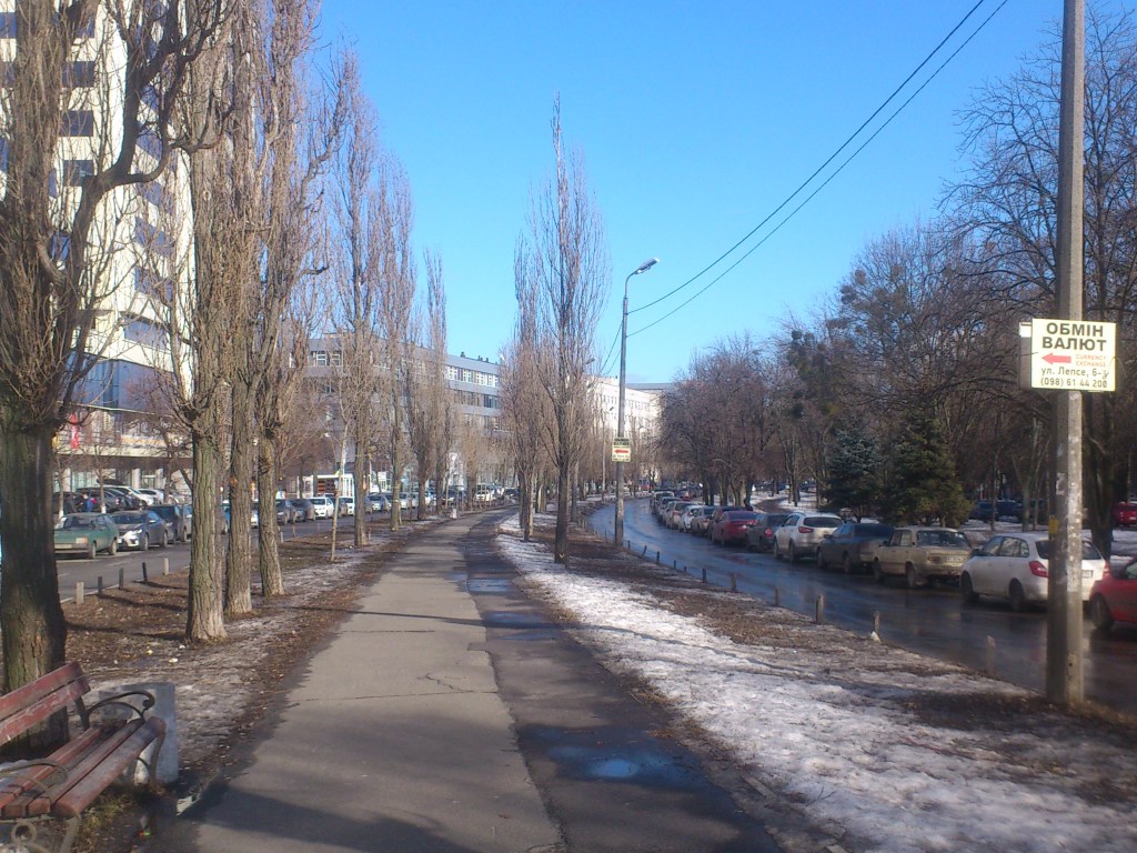 В Киеве 3-4 февраля ночью будут перекрывать путепровод на бульваре Гавела из-за капремонта