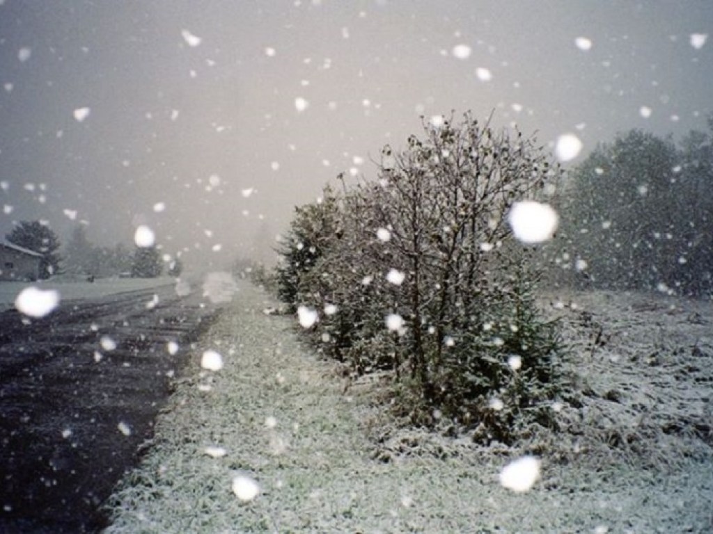 Погода на 10 февраля: В Украине ожидается снег, местами &#8212; гололед