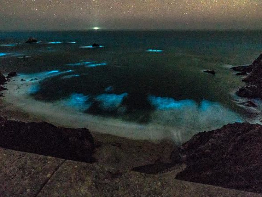 Ночные океанские волны начали светиться у побережья Калифорнии (ФОТО)
