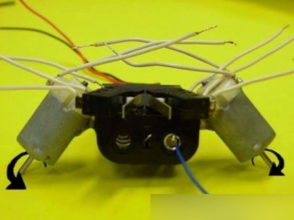 Инженеры создали таракана-робота, бегающего по наклонным поверхностям (ВИДЕО)
