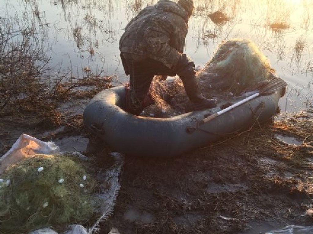 Пограничники в Одесской и Запорожской областях поймали браконьеров с уловом на 350 тысяч гривен (ФОТО)