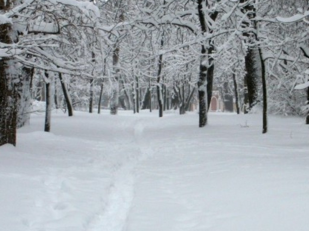 Погода на завтра: в Украине будет холодно и снежно