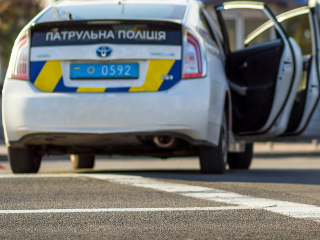 В Киевской области мужчина палкой избил полицейских