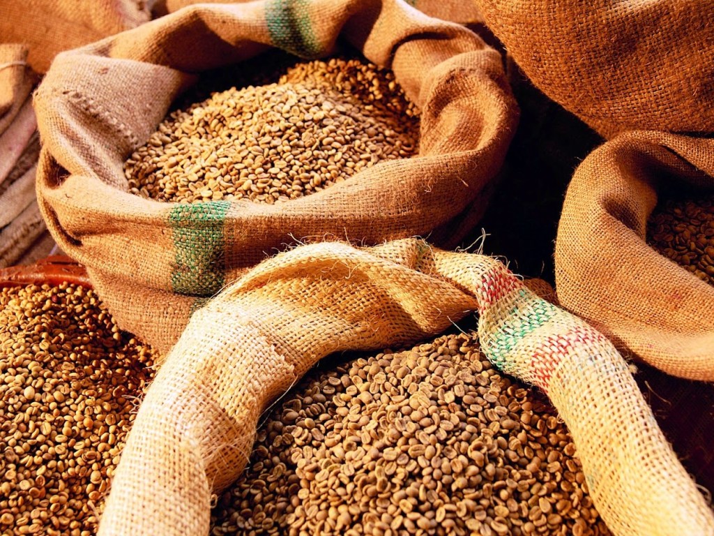 За год Украина экспортировала более 25 миллионов тонн зерновых