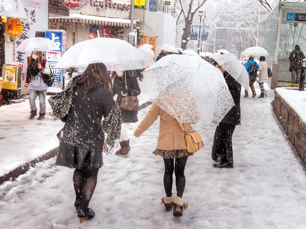 В Японии в результате снегопадов погибли 15 человек