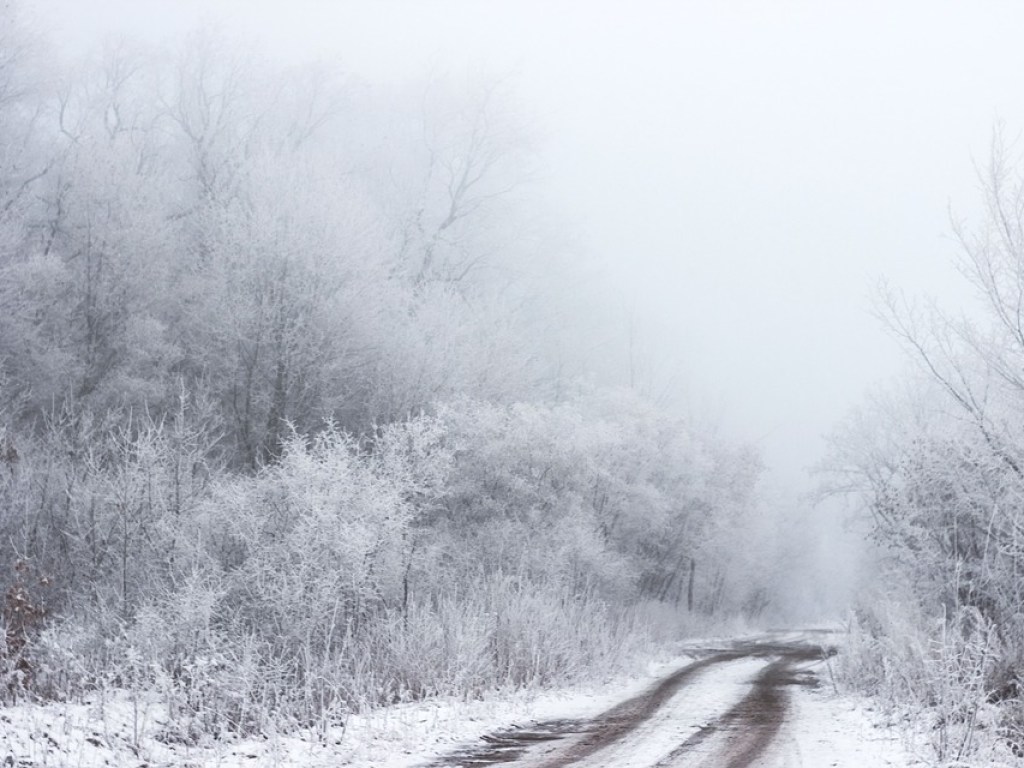 Погода на 16 февраля: в Украине будет снежно, местами &#8212; гололед и туман