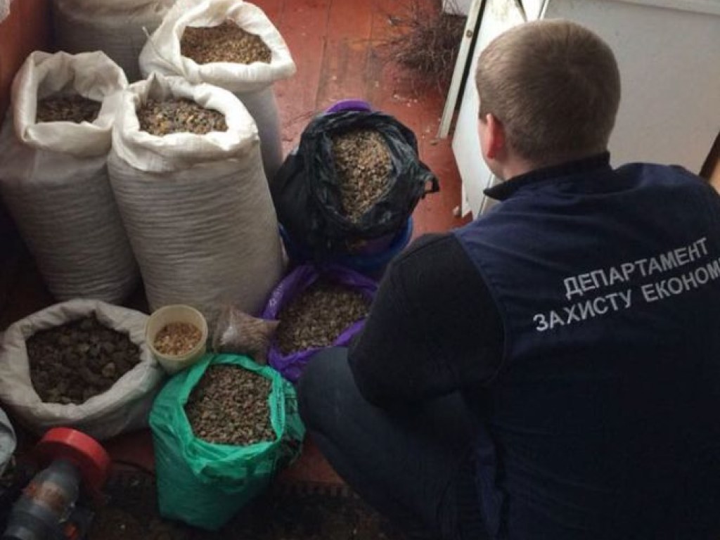 Полиция Волыни изъяла у местных жителей янтаря на 500 тысяч гривен (ФОТО)