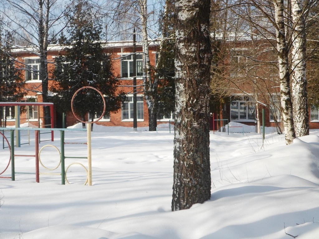 В московском детсаду замерзла насмерть забытая на снегу девочка