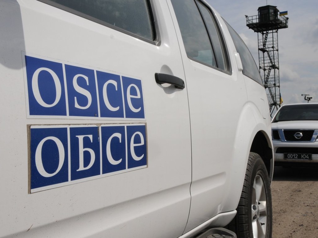 РФ обратилась в ОБСЕ с требованием отреагировать на погромы в Киеве