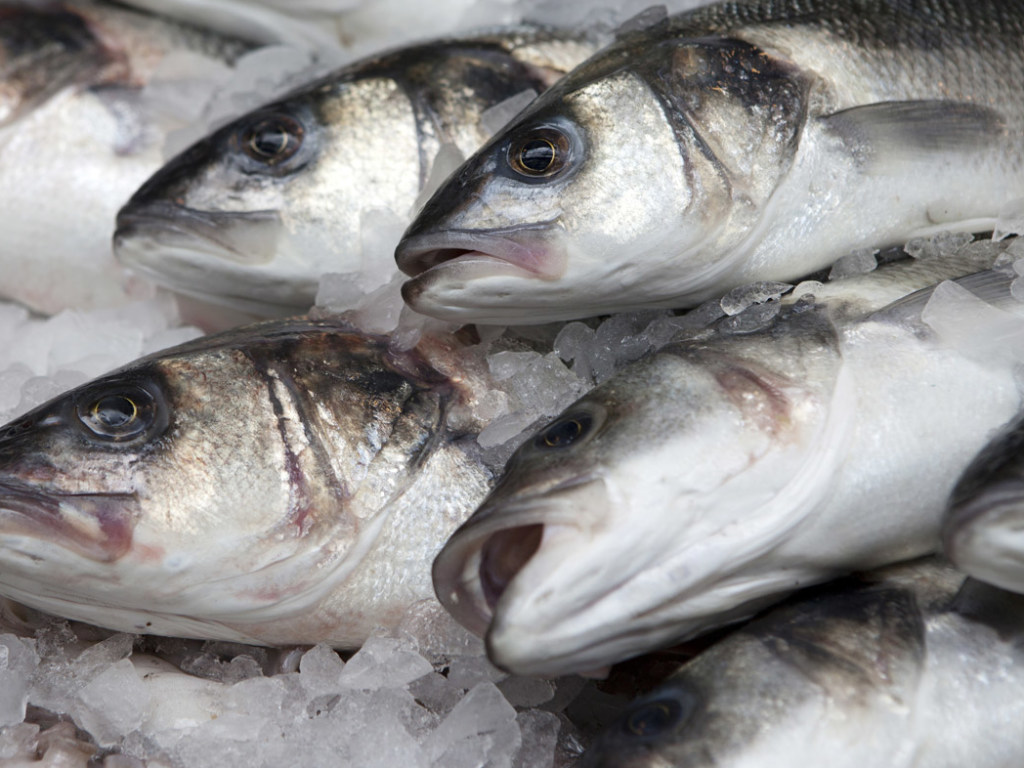 Украина импортирует 80% потребляемой рыбы – МЭРТ