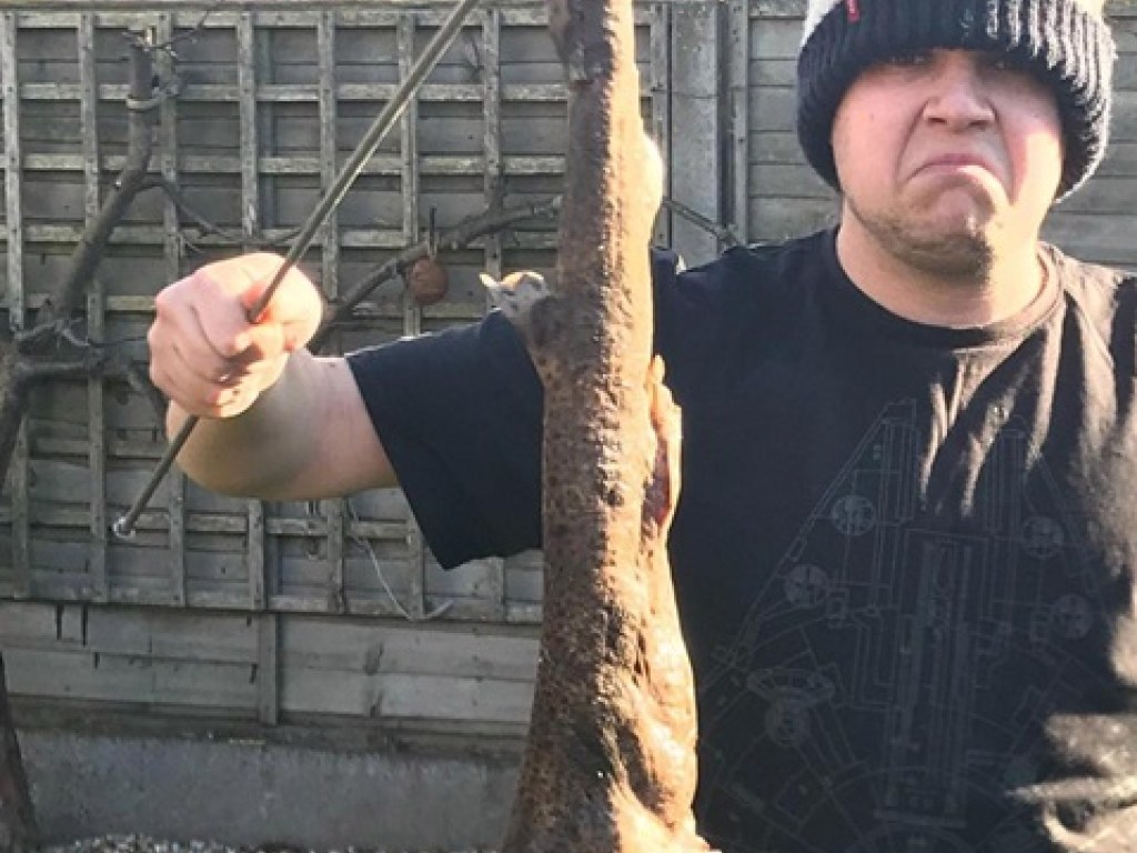 Житель Великобритании обнаружил на траве в саду кошачью акулу (ФОТО)