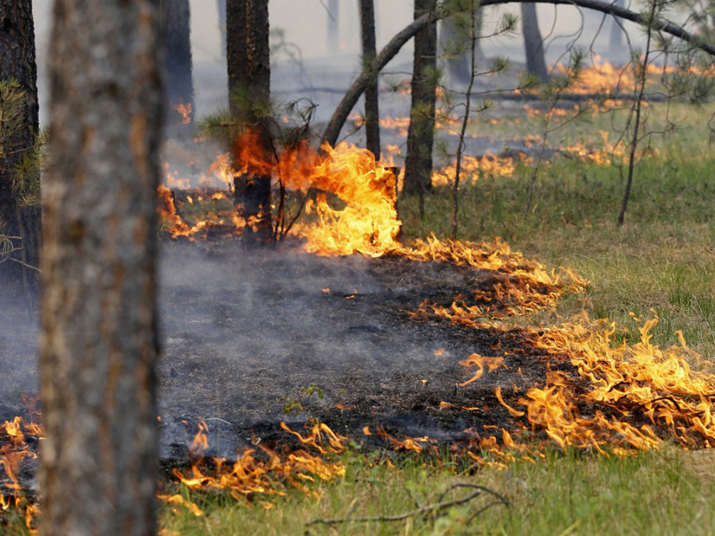 В Аргентине из-за пожаров выгорело более 800 тысяч гектаров