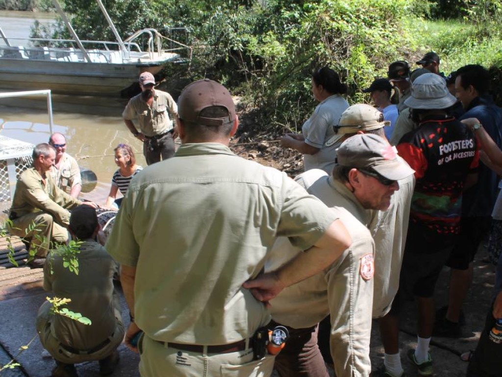 4-метровый крокодил попал в ловушку австралийских рейнджеров (ВИДЕО)