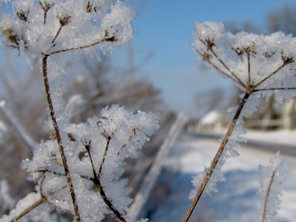 Синоптик: Зима в Украине завершится снегом и морозом (КАРТА)
