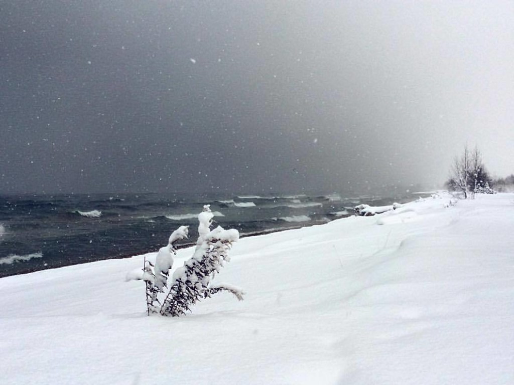 В Одессе начался снежный шторм на море (ВИДЕО)