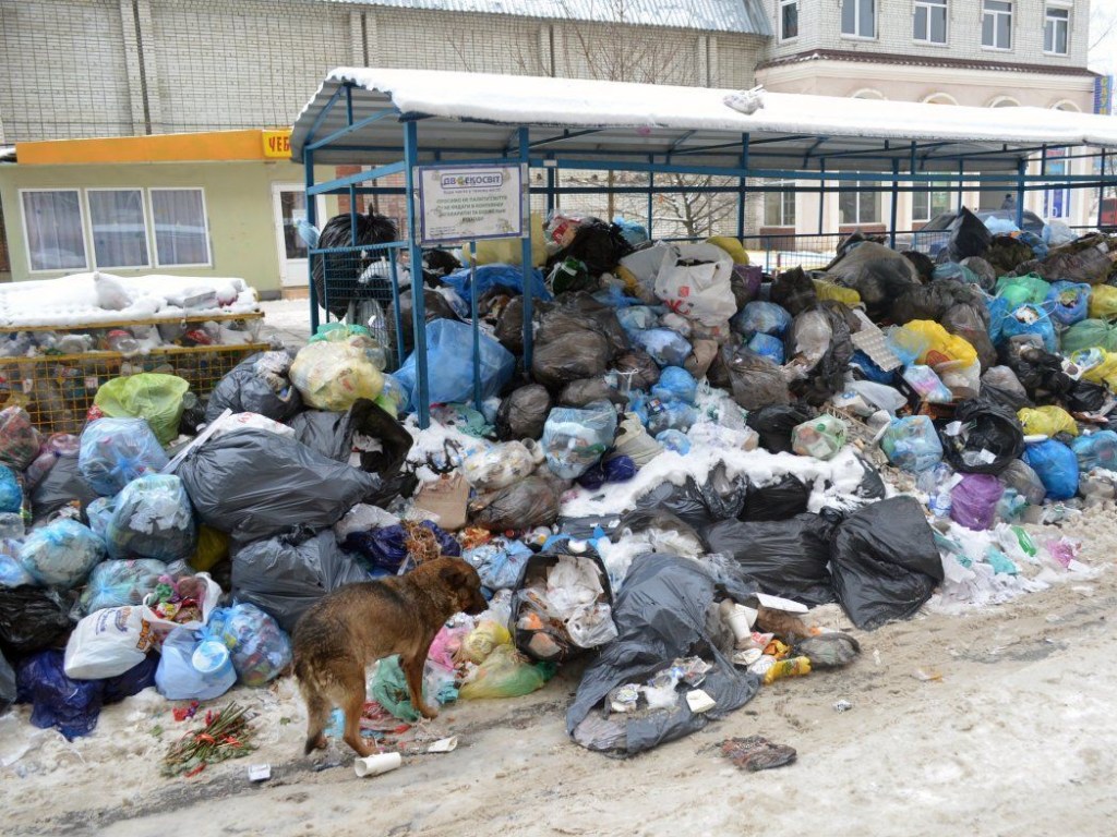 Экологическая катастрофа во Львове: горсовет снова выделил 25 миллионов гривен на вывоз мусора